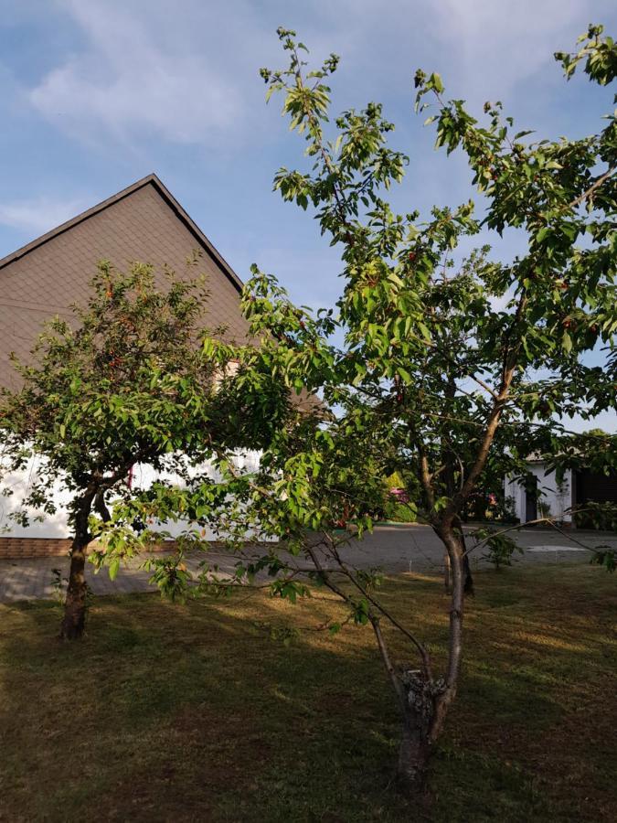 Casa Natur メーデバッハ エクステリア 写真